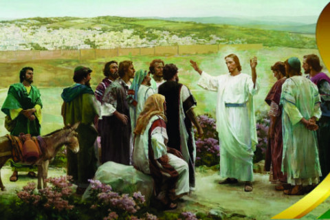 11º Domingo do Tempo Comum, Ano A